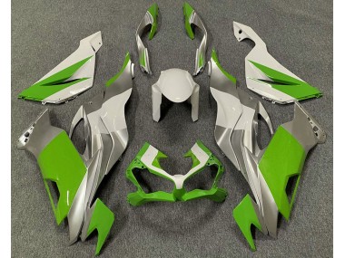 2019-2020 Green White and Silver Kawasaki ZX6R Motorcycle Fairing UK