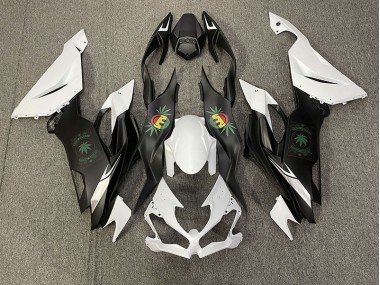 2019-2020 Happy Face Kawasaki ZX6R Motorcycle Fairing UK